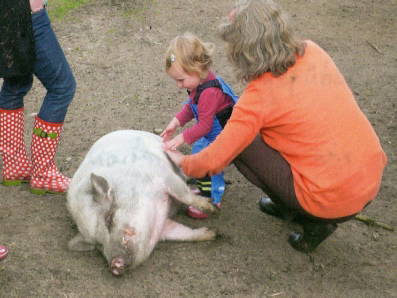 Bild 11 aus  Ferienhof Störwiese