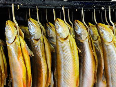 Bild 15 aus  Ferienhof  Schmidtner