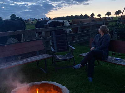 Bild 38 aus  Bauernhofpension Bals