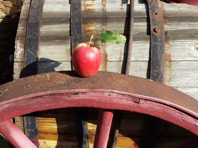 Bild 9 aus  Ferienwohnung Kiechle