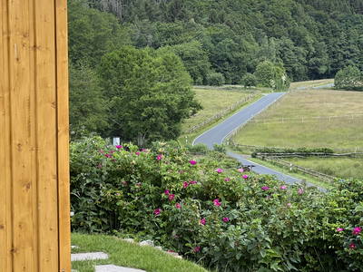 Bild 28 aus  LandSelection LANDGUT PFAUENHOF