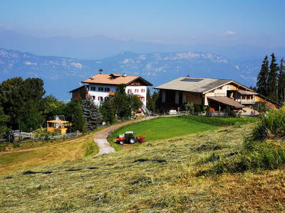 Bild 12 aus  Wastlhof  Urlaub auf dem Bauernhof