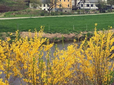 Bild 34 aus  Steinermühle