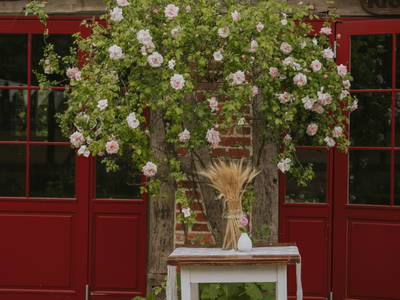 Bild 12 aus  Hof Alte Zeiten