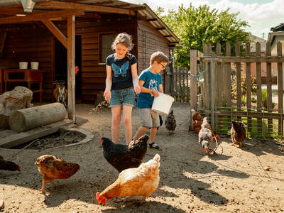 Bild 37 aus  LandSelection Grieshof