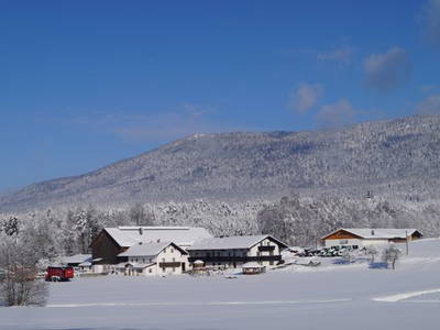 Bild 4 aus  Burgstallhof