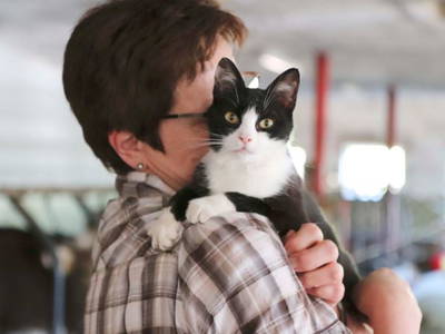 Bild 15 aus  Ferienhof Miller