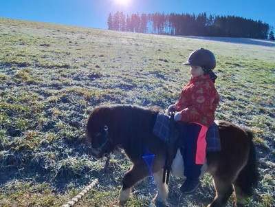 Bild 14 aus  Kernenhof