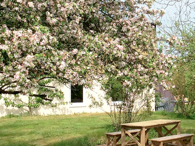 Bild 5 aus  An der See.de