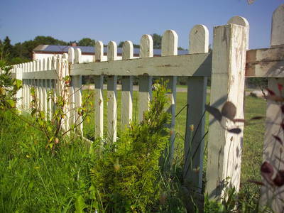 Bild 43 aus  Ferien am Schloss