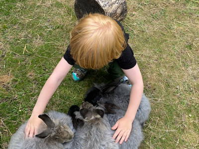 Bild 16 aus  Nordgården- Ferien auf dem Land