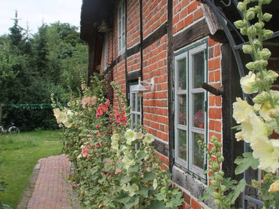 Bild 18 aus  Urlaub unterm Reet