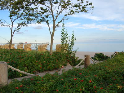 Bild 77 aus  Ahoi Ostsee:  Bauernhof und OstseeUrlaub - Ferienhof Becker in Dahme