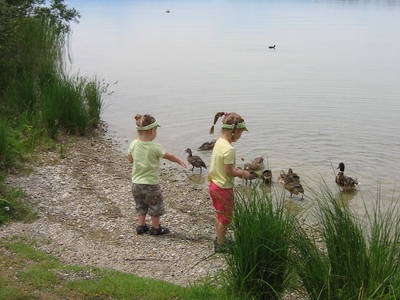 Bild 7 aus  Hofbauer - Ihr Urlaubsbauernhof am Chiemsee