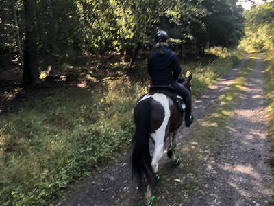 Bild 9 aus  Romantikmühle  Heartlandranch