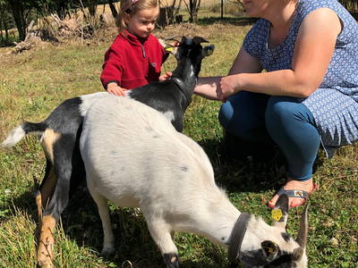 Bild 2 aus  Hof Altasilva - Rosenhof