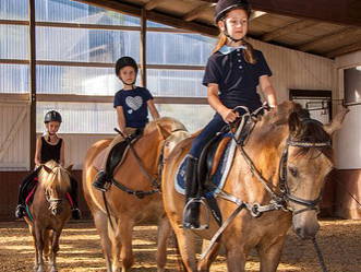 Reitstunde in unserer Reithalle