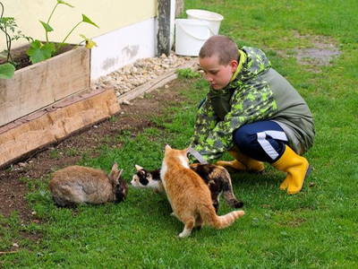 Wer bekommt nun die Streicheleinheiten?