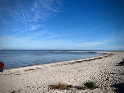 Bild 8 aus  Hof Sonnenmeer - nachhaltig, ökologisch & einzigartig schön
