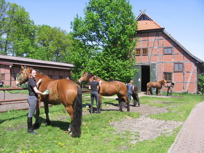 Bild 4 aus  Hof Immenknick *** idyllischer Reiterhof