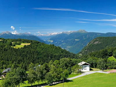 Bild 11 aus  Steinerhof