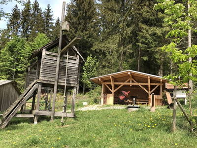 Bild 15 aus  Ferienhof Pauli