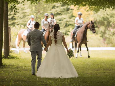 Bild 30 aus  Gut Petersdorf