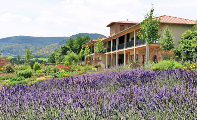 Kräutergarten Klostermühle