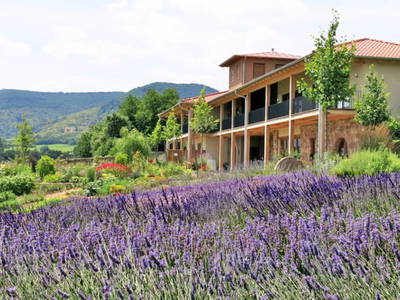 Bild 2 aus  Kräutergarten Klostermühle