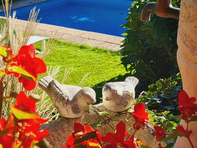 Bild 9 aus  Ferienwohnungen Innerhofer Riffian bei Meran - Adults Only