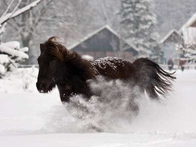 Bild 5 aus  SchleinersHof