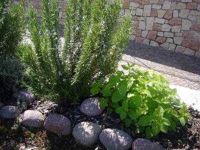 Bild 13 aus  Ferienwohnungen Grabmayrhof