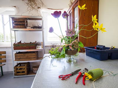 Bild 7 aus  Hof Letsch