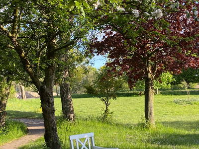 Bild 24 aus  Ferienhof Messer  Bauernhofurlaub  Ostseenähe  Ponys