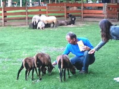 Bild 12 aus  Kleines Landhotel Neue Mühle