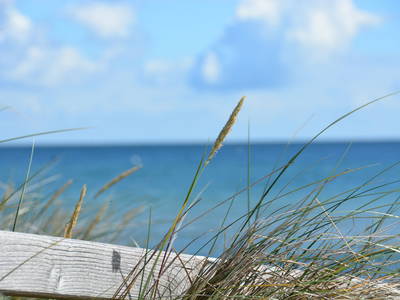 Bild 41 aus  Bauernhof Krebs