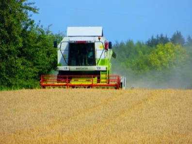 Bei der Getreideernte