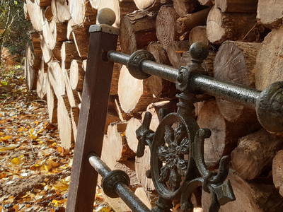 Bild 47 aus  Erlenhof im Oderbruch - Rund ums Schaf