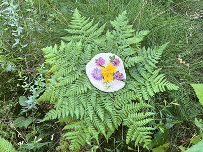 Bild 43 aus  Ferien am Talhof