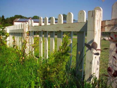 Bild 36 aus  Ferien am Schloss