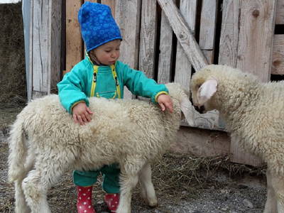 Bild 14 aus  Risthof am Großen Alpsee