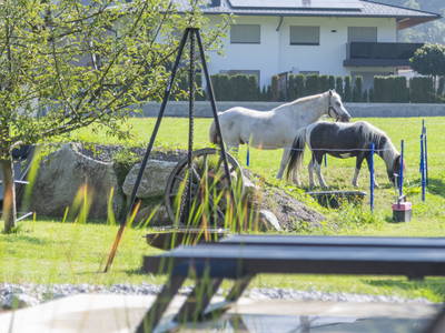 Bild 12 aus  Zillertaler Hofchalets