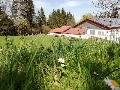 Bild 14 aus  Schusterhof