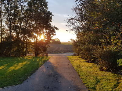 Bild 21 aus  Ferienhof  "Groot Plaats"