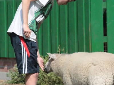 Bild 5 aus  Dahmerhof