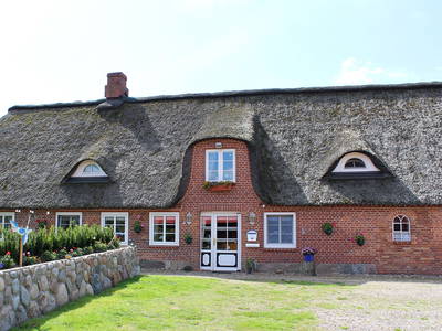 Bild 2 aus  Carstens Ferienhof