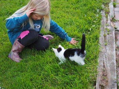 Bild 24 aus  Gut Wellingsbüttel