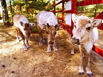 Bild 7 aus  Arendel - Das norwegische Dorf