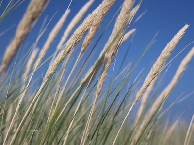 Bild 17 aus  Hof Muhs