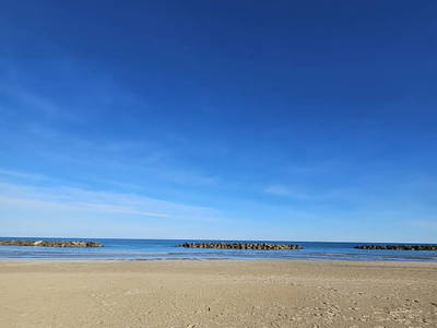 Bild 16 aus  La Viola e il Sole